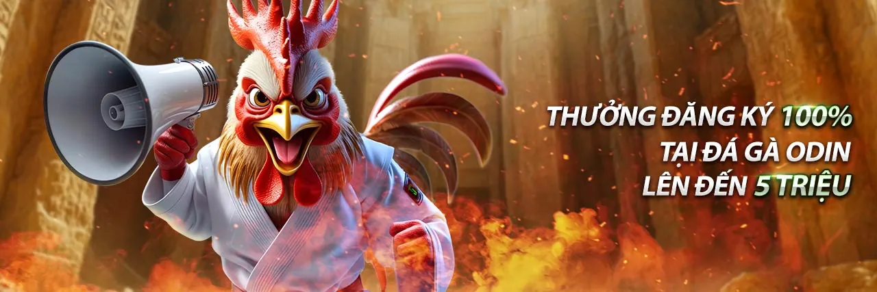 Đấu trường đá gà trực tuyến Subet 2026